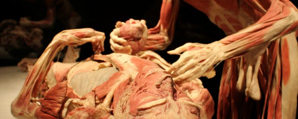 aken-dd-18sept2016-75